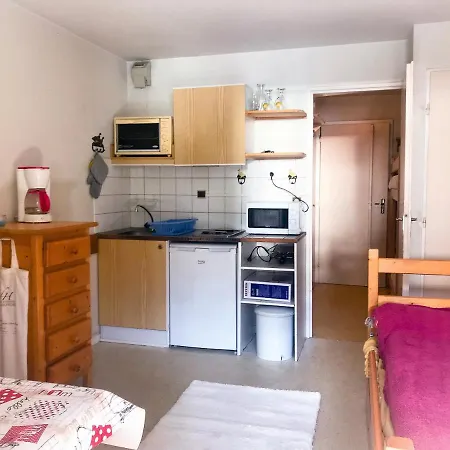 Boost Your Immo Les 2 Alpes Andromede 165 Appartement