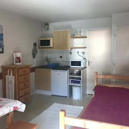 Boost Your Immo Les 2 Alpes Andromede 165 Appartement Vénosc